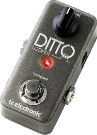 t.c. electronic Ditto Looper